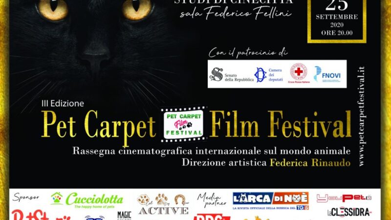 A Roma la 3° Edizione del Pet Carpet Festival!